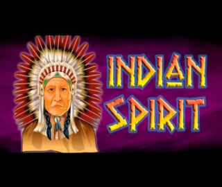Logo image for Indian Spirit Image