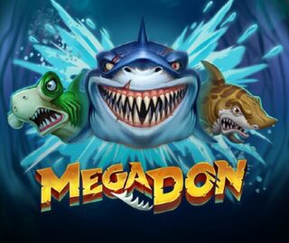 Image for Mega don Image