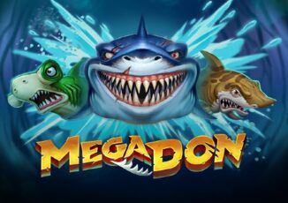 Image for Mega don Image