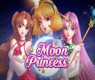 Image for Moon Princess Image