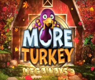 Logo image for More turkey Image