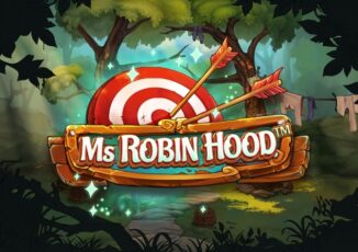 Logo image for Ms robin hood Image