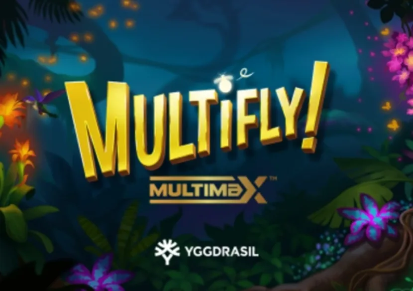 Logo image for Multifly