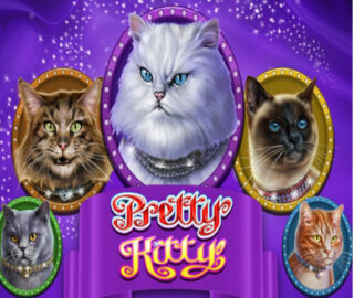 Logo image for Pretty kitty Image