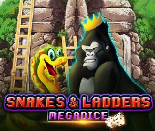 Logo image for Snakes And Ladders Megadice Image