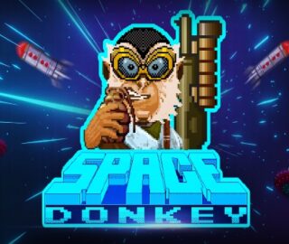 Logo image for Space donkey Image