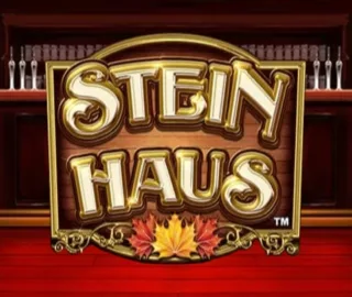 Logo image for Stein haus Image