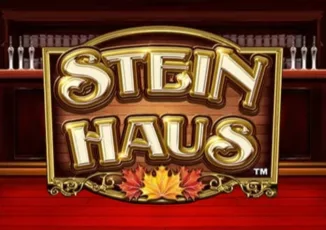 Logo image for Stein haus Image