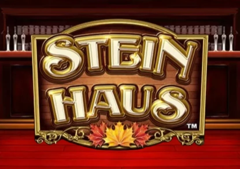 Logo image for Stein haus