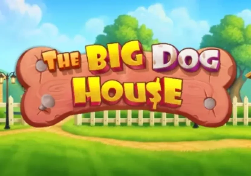 The Big Dog House