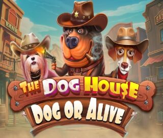 Image for The Dog House Dog or Alive Image