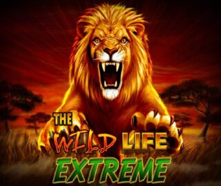 Logo image for The wild life extreme Image