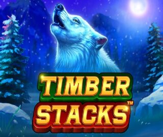 Logo image for Timber stacks Image