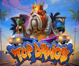 Logo image for Top Dawg$ Image