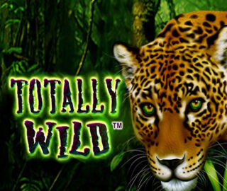 Image for Totally Wild Image