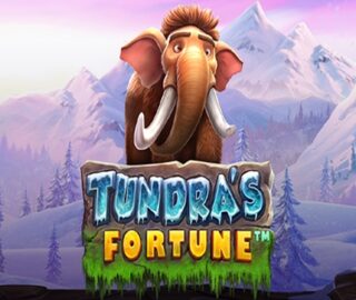 Tundra's Fortune Image