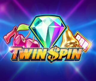 Image for Twin Spin Image