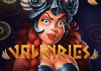 Logo image for Valkyries Image