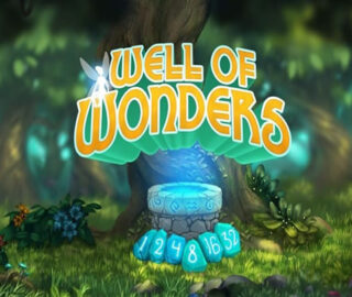Logo image for Well of wonders Image