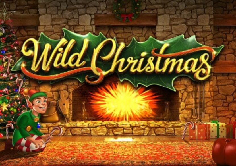 Logo image for Wild christmas