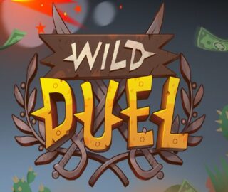 Logo image for Wild duel Image