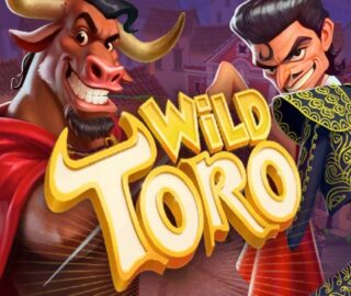 Logo image for Wild Toro Image