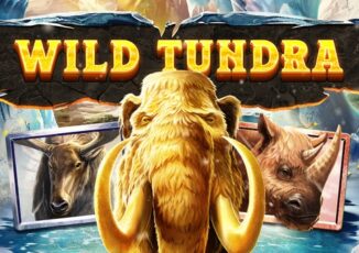 Logo image for Wild tundra Image