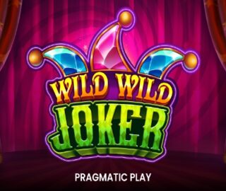 Logo image for Wild wild joker Image
