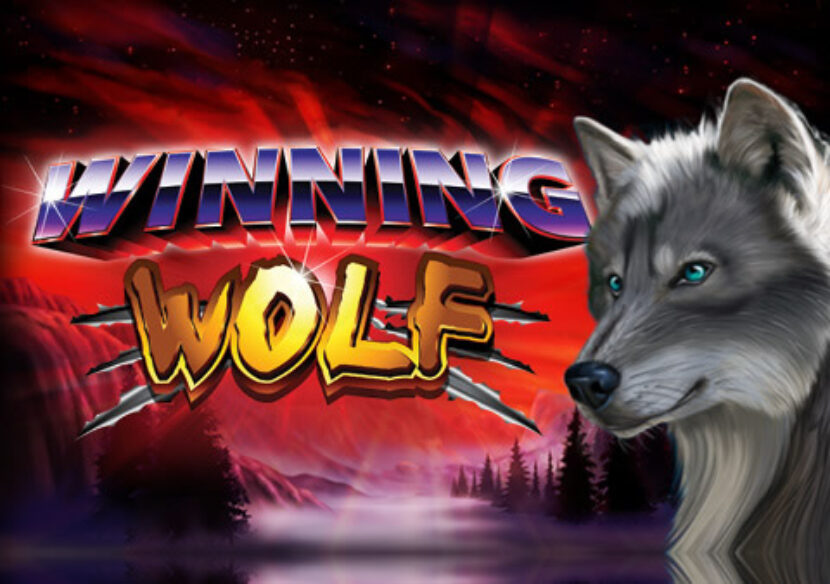 Logo image for Winning wolf